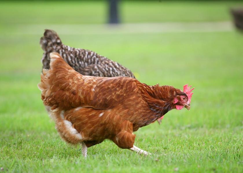 Wicklow (county) Aughrim Exterior Detail