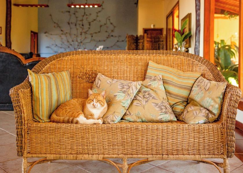 Mato Grosso do Sul Bonito Pet-friendly