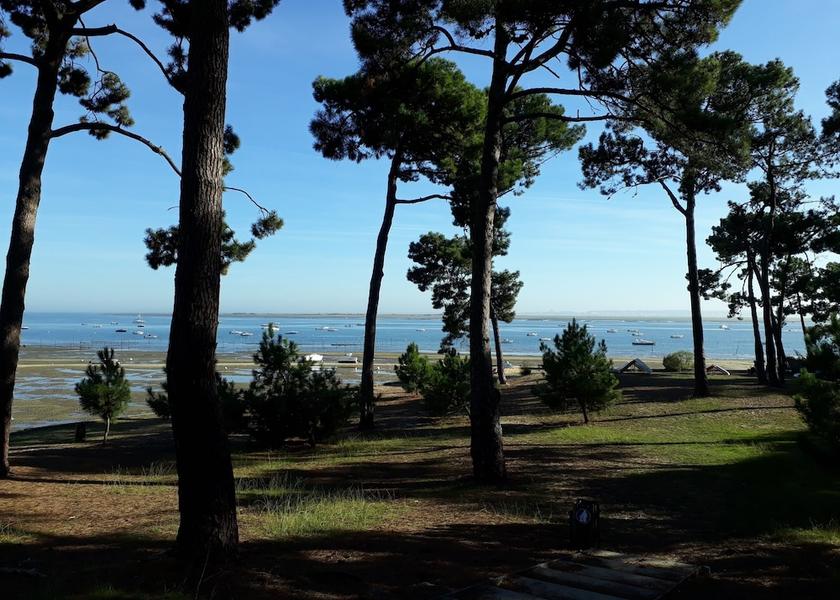 Nouvelle-Aquitaine Lanton Amenity