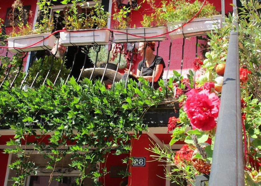 Grand Est Le Hohwald Property Grounds