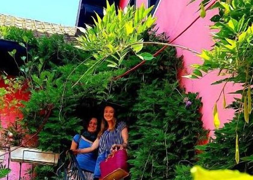 Grand Est Le Hohwald Property Grounds