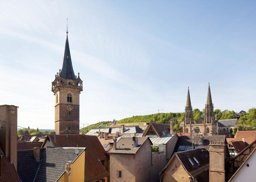 Grand Est Obernai View from Property