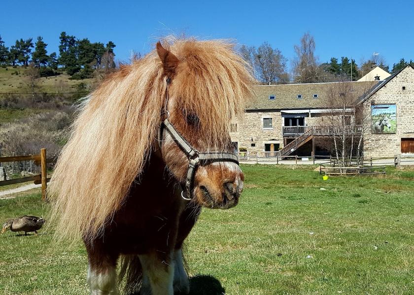Occitanie Rimeize Exterior Detail