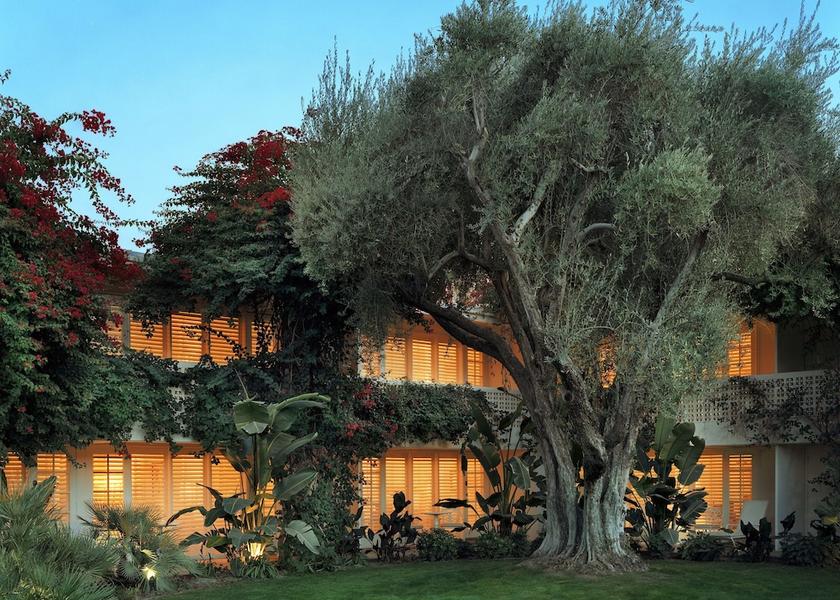 California Palm Springs Property Grounds