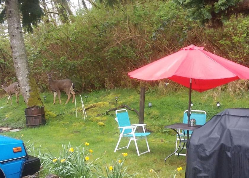 Washington Hoquiam Fireplace