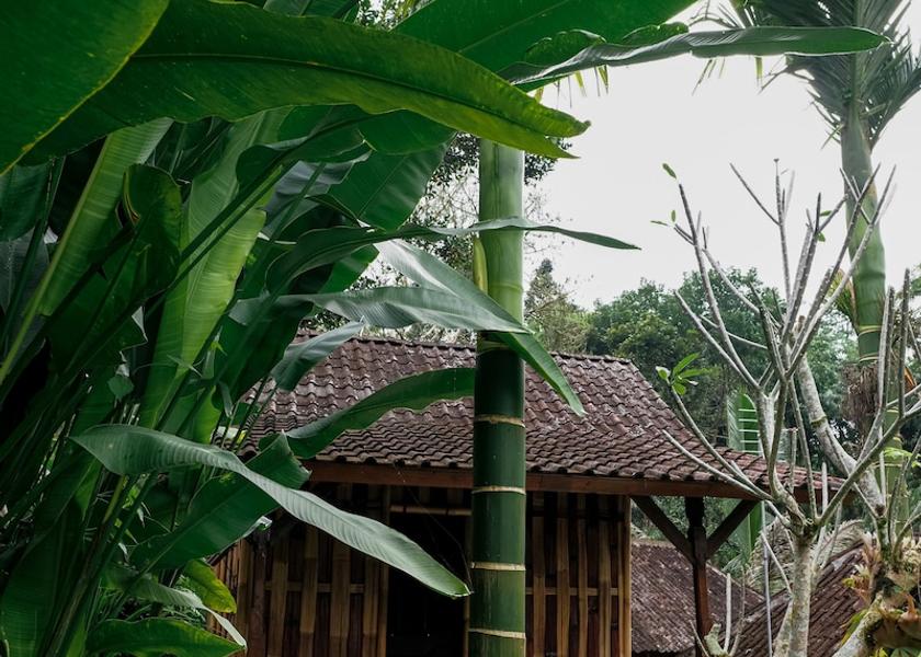 Bali Payangan Property amenity