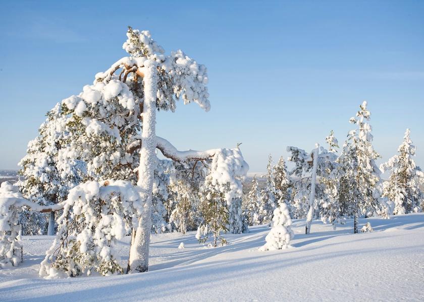 Skiing