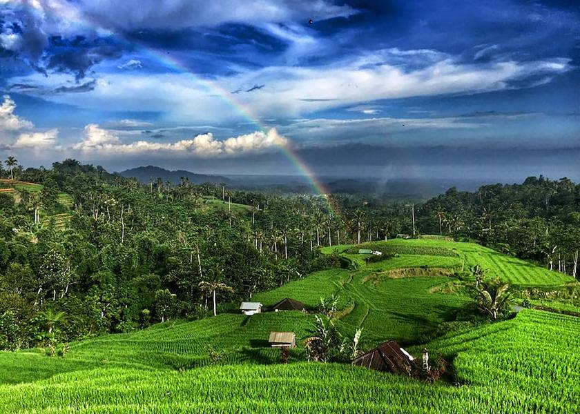 Bali Baturiti View from property