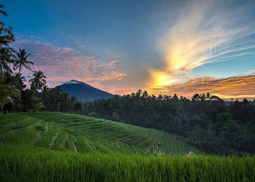 Bali Baturiti Mountain view