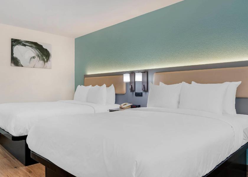 California San Diego Guestroom