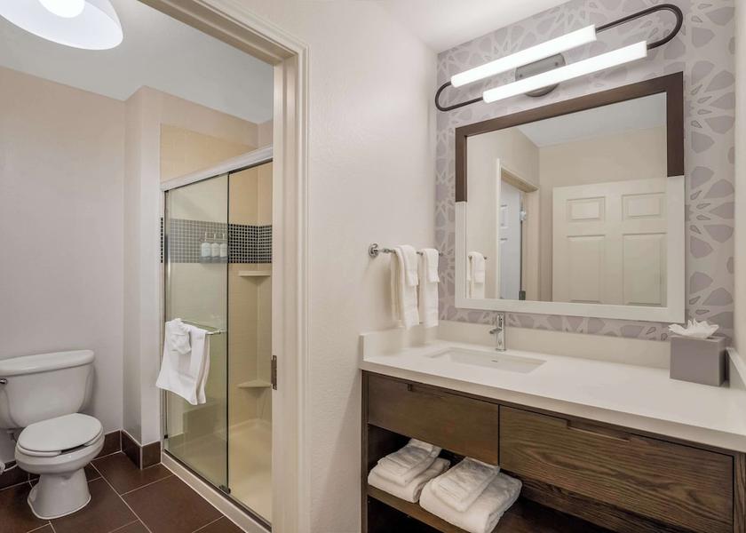 Texas Austin Bathroom