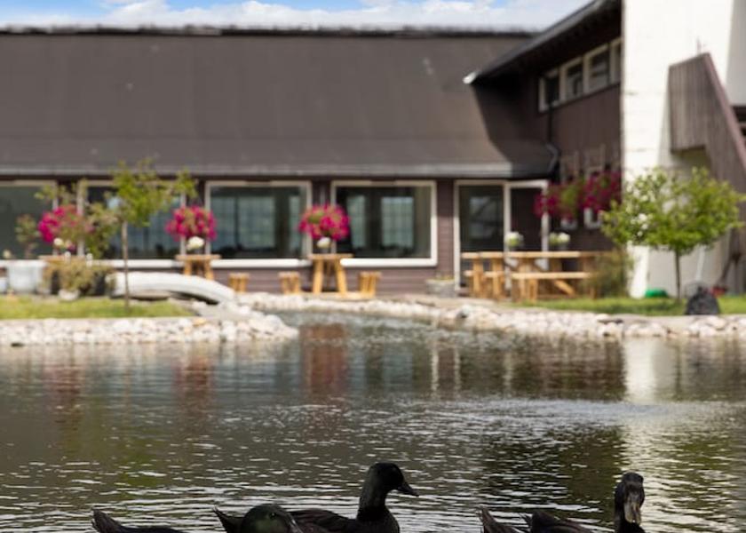 Telemark (county) Drangedal Lake