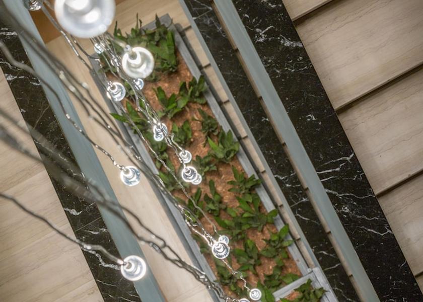 Lazio Rome Staircase