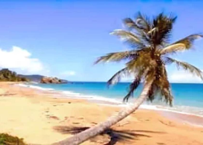  Yabucoa Beach