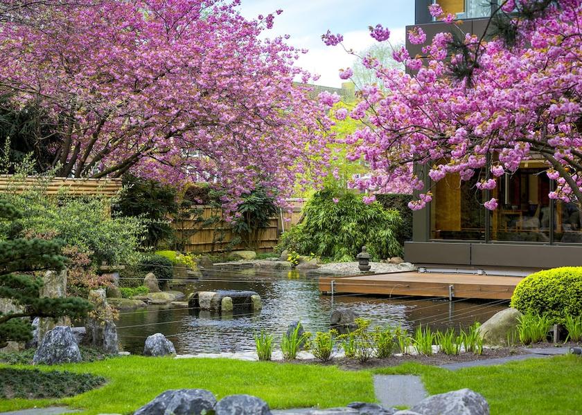 North Holland Amsterdam Garden