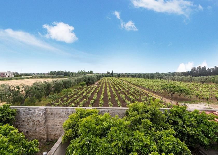 Puglia Monteroni di Lecce View from Property