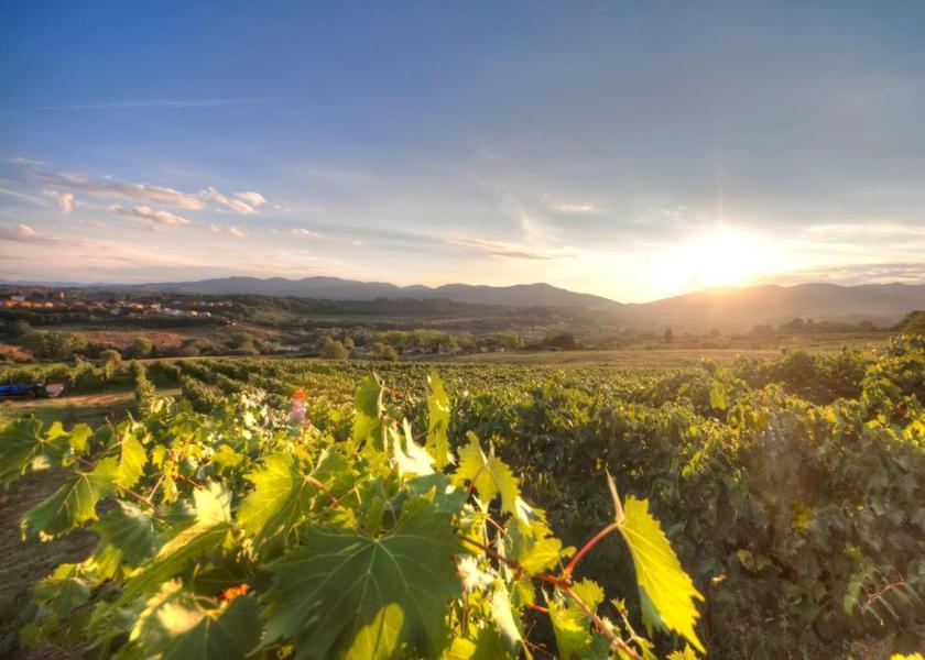 Tuscany Rignano sull'Arno View