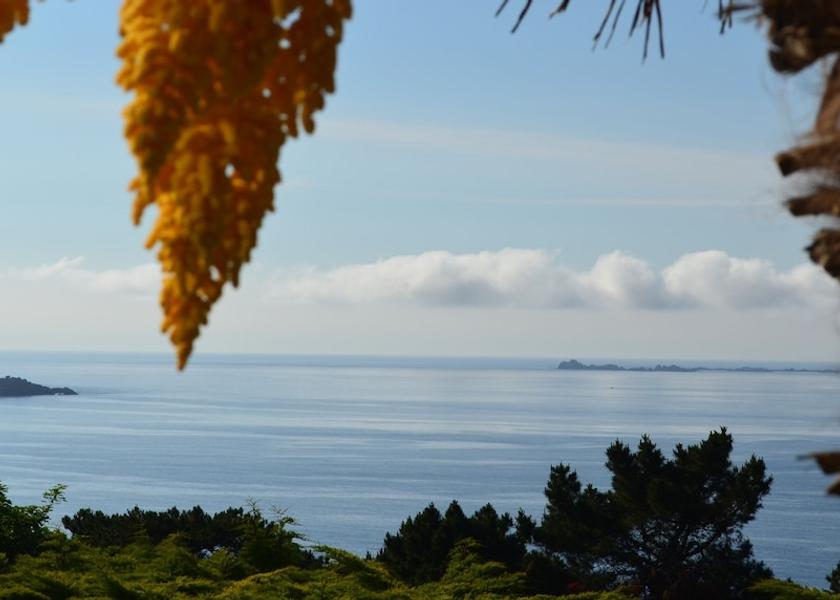 Brittany Perros-Guirec View from Property