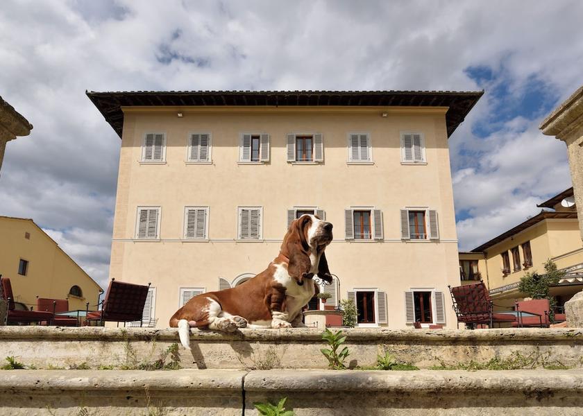 Tuscany Colle di Val d'Elsa Exterior