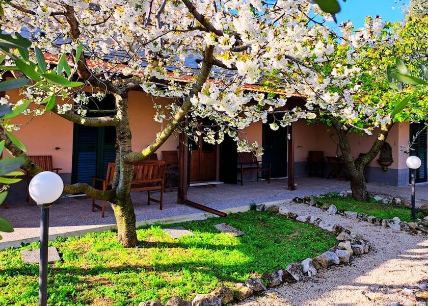Abruzzo Moscufo Primary image