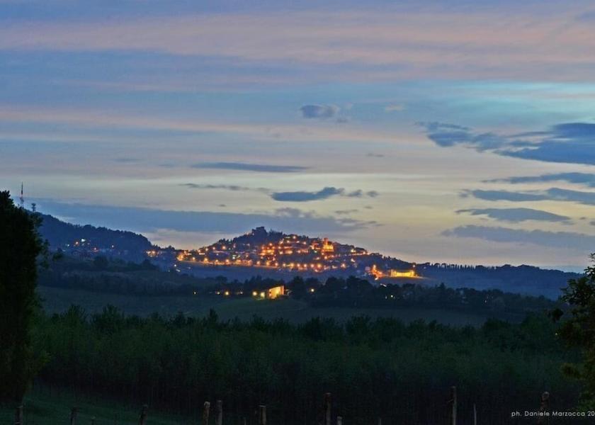Emilia-Romagna Bertinoro View from Property