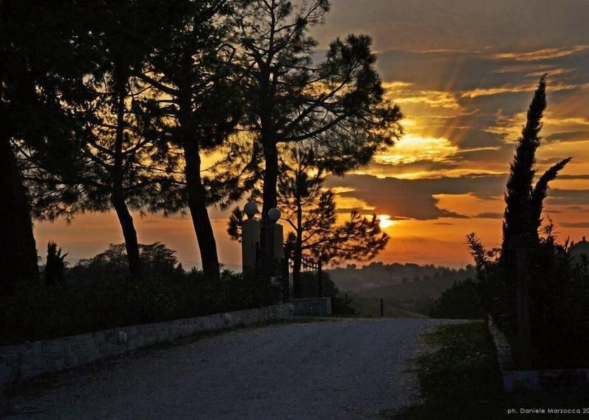 Emilia-Romagna Bertinoro Property Grounds