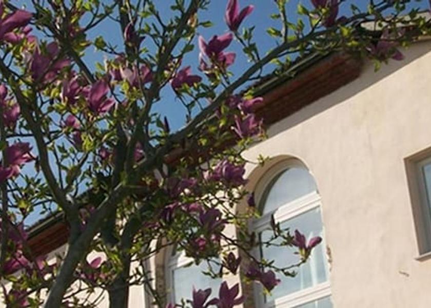 Piedmont Acqui Terme Exterior Detail