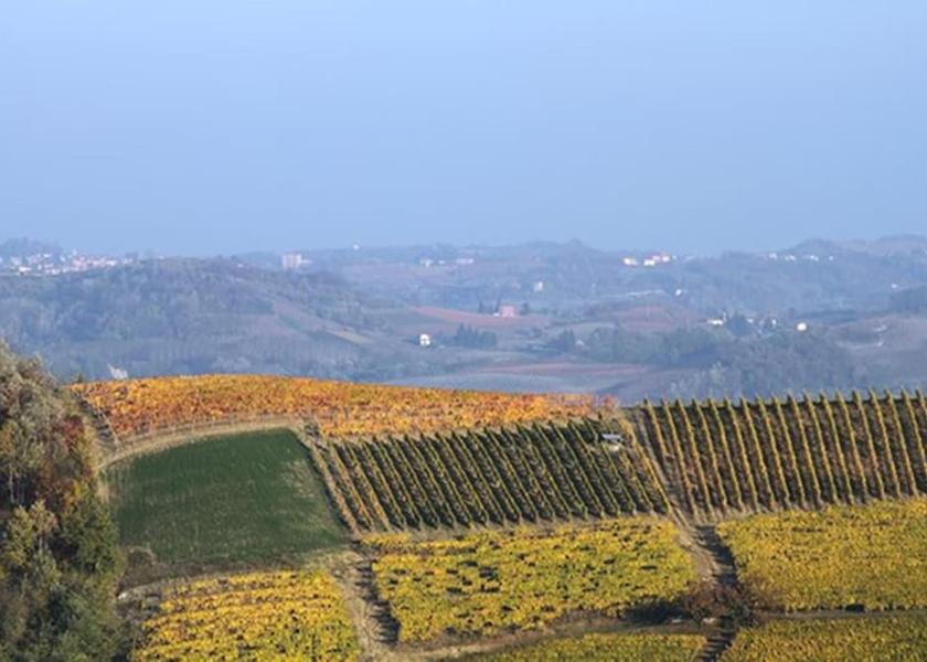 Piedmont Acqui Terme Exterior Detail