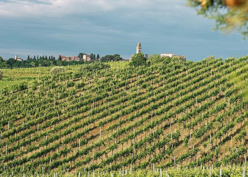 Veneto Susegana Rooftop terrace