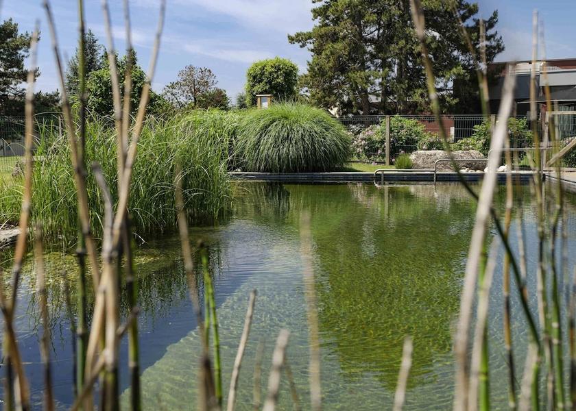 Canton of Vaud Bussigny-pres-Lausanne Natural pool
