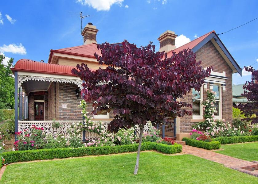 New South Wales Armidale Primary image