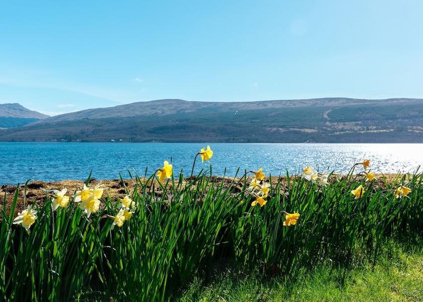 Scotland Inveraray View from Property