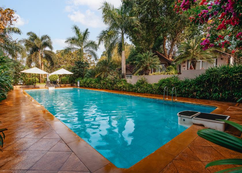 Goa Mandrem Pool