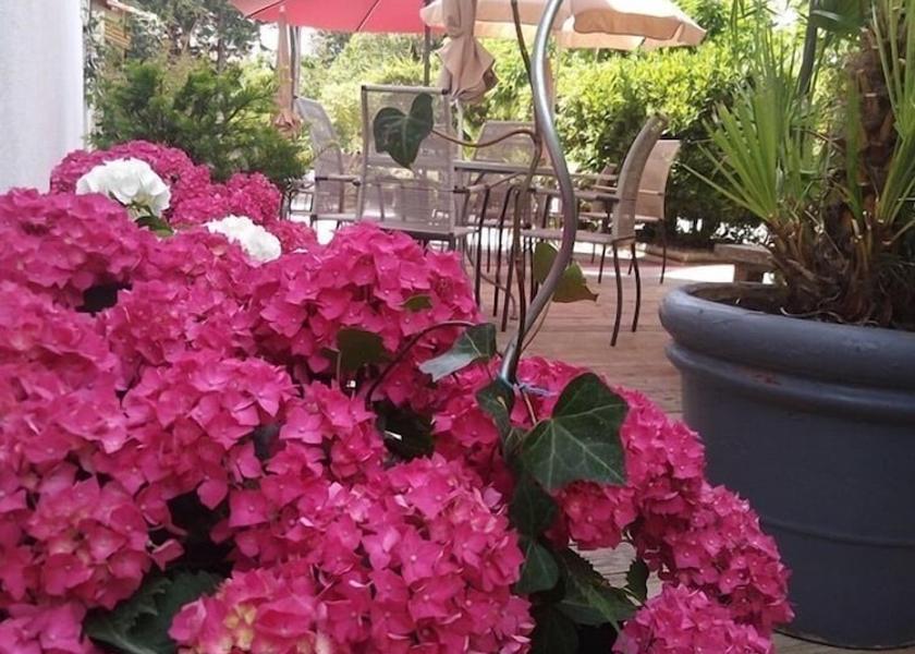 Occitanie Les Angles Terrace
