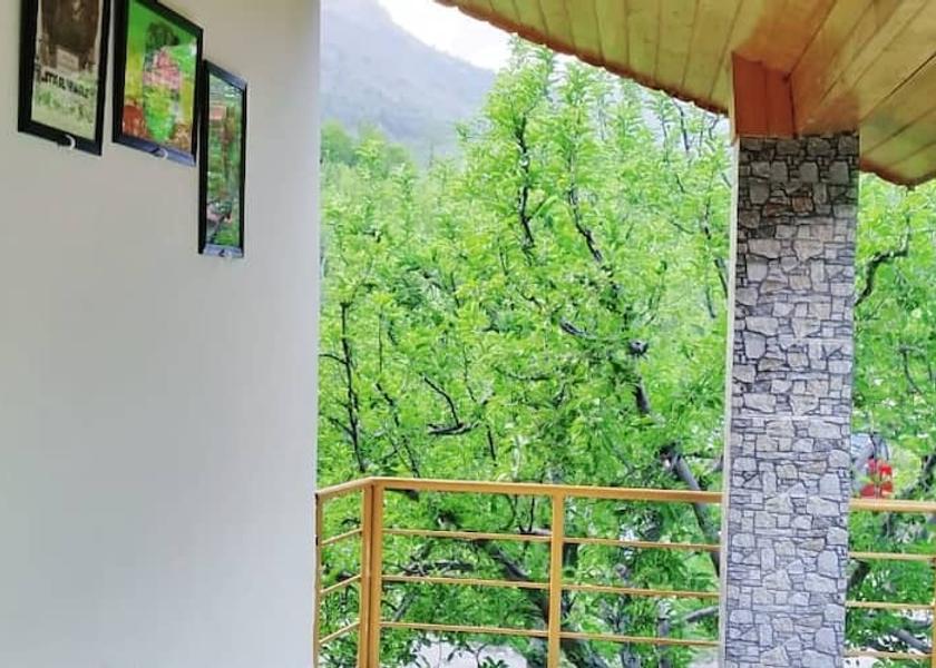 Himachal Pradesh Manali 1025