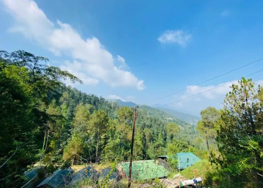 Himachal Pradesh Chail Hotel View