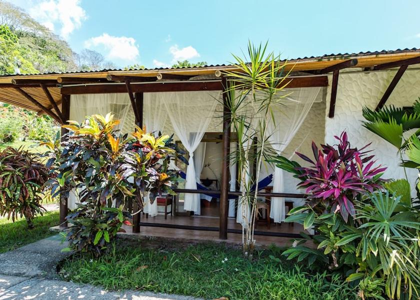 San Jose Ballena Garden View