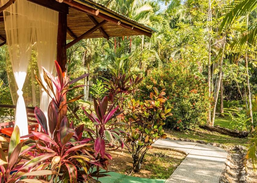 San Jose Ballena Garden