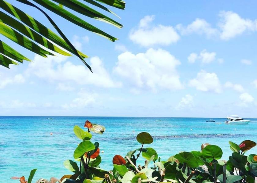  Speightstown View from Property