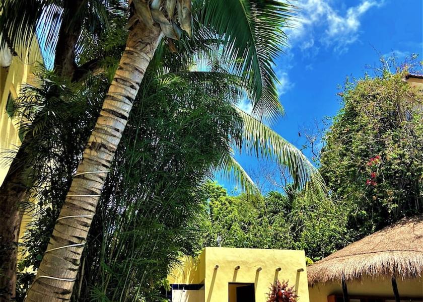Quintana Roo Playa del Carmen Exterior