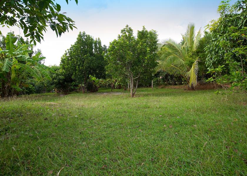 Tamil Nadu Yelagiri Outdoors