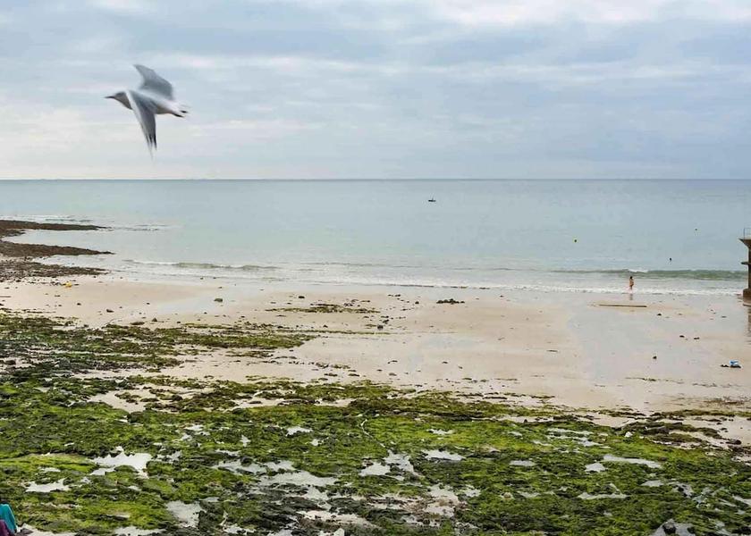 Normandy Le Mont-Saint-Michel Amenity