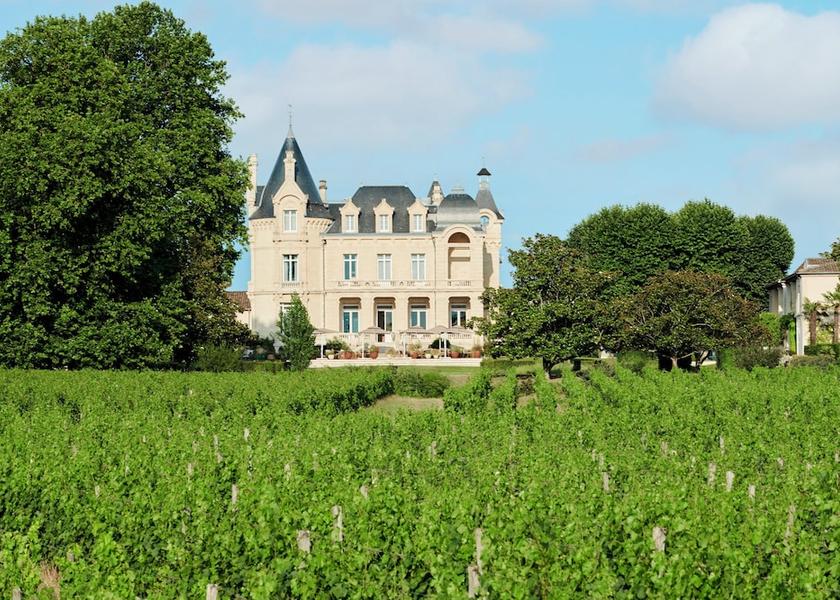 Nouvelle-Aquitaine Saint-Émilion Vineyard