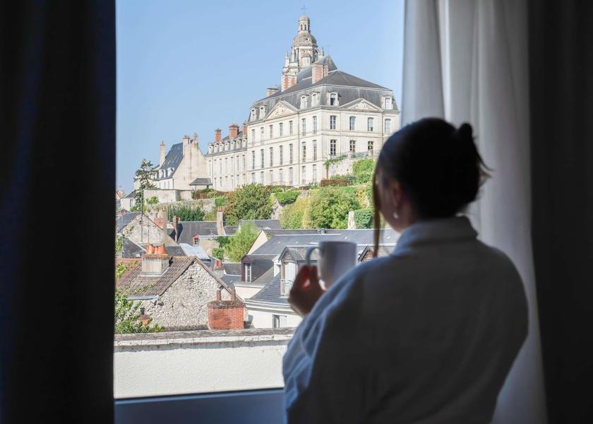 Centre-Loire Valley Blois Exterior