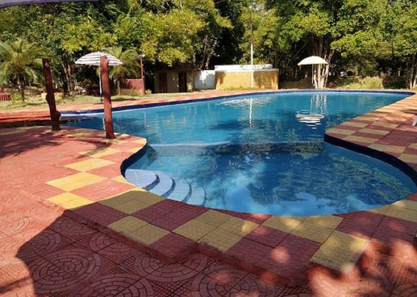 Madhya Pradesh Kanha Pool