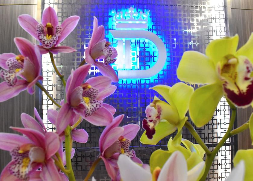 Antioquia Medellin Facade