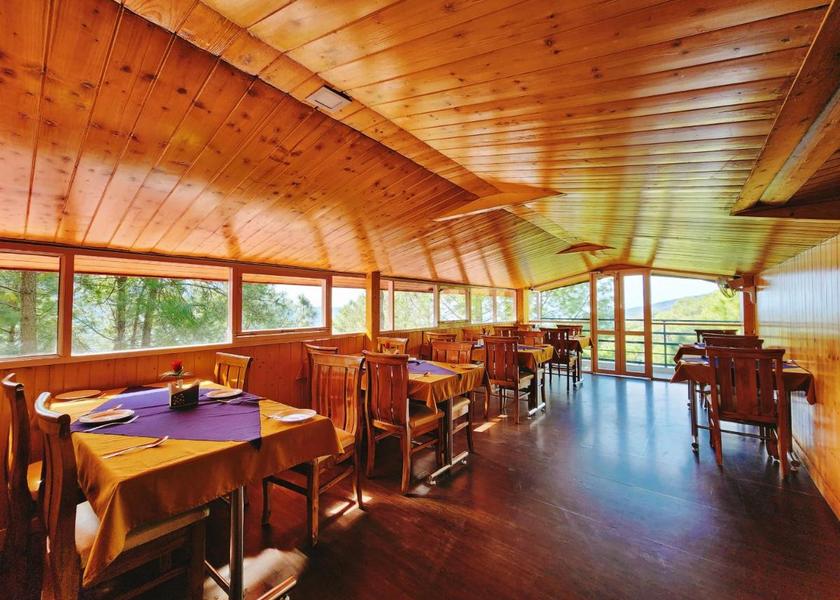 Himachal Pradesh Kasauli Food & Dining
