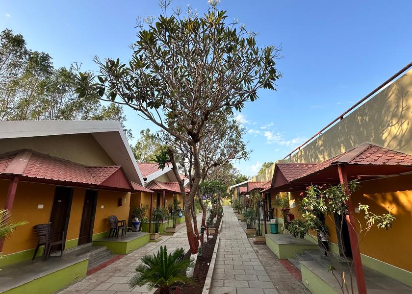 Gujarat Sasan Gir Hotel View