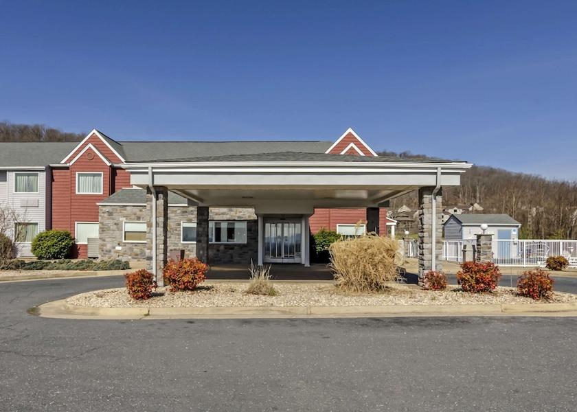 Virginia Staunton Primary image