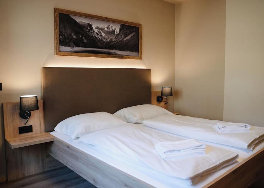 Upper Austria Obertraun Room